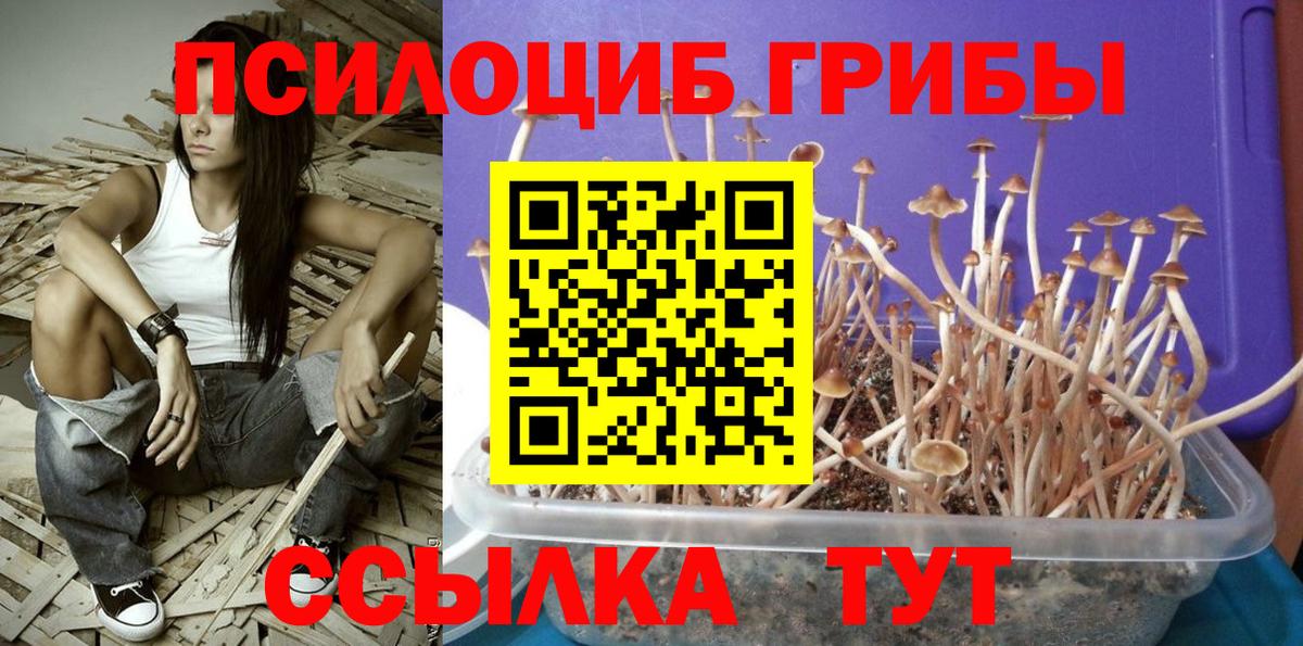 Псилоцибиновые грибы Magic Shrooms Кудрово