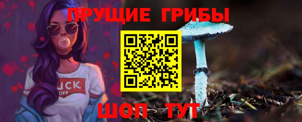 Псилоцибиновые грибы прущие грибы  Вход с VPN  Кудрово 